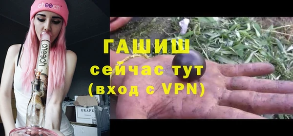 прущие грибы Арсеньев