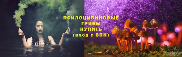 ешки Алексеевка